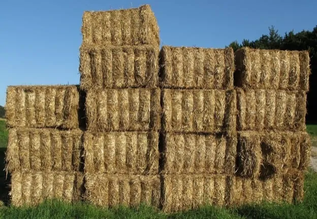 strawbalegardenimage2