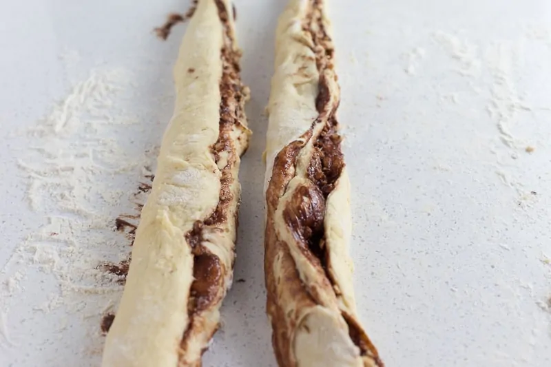 Chocolate Babka Parting Dough