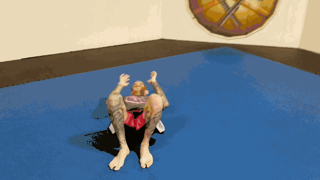 Mount Escapes