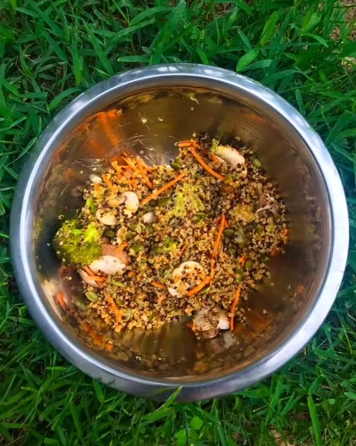 Quinoa 2