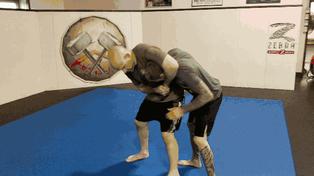 Rear Grab Counters