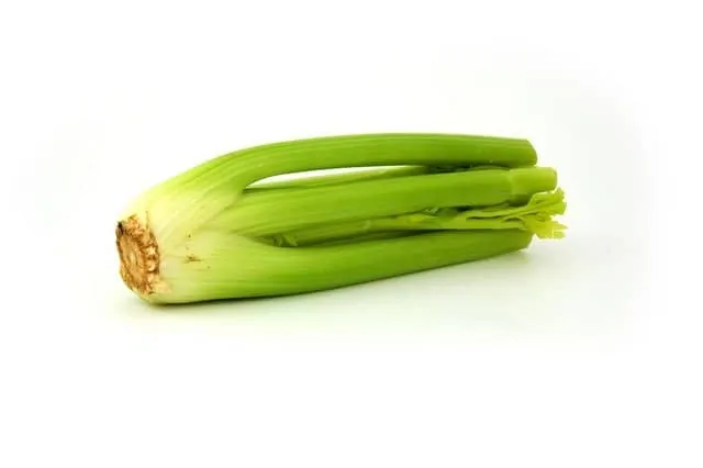 celery 1811 640