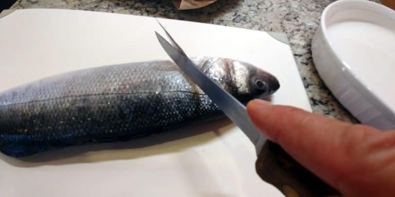How to Fillet a Fish the Easy Way - Step by Step Tutorial | Jen Reviews
