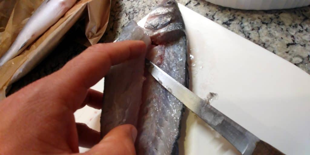 How to Fillet a Fish the Easy Way - Step by Step Tutorial | Jen Reviews