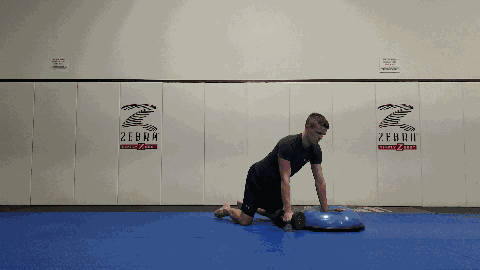 dumbbell rows