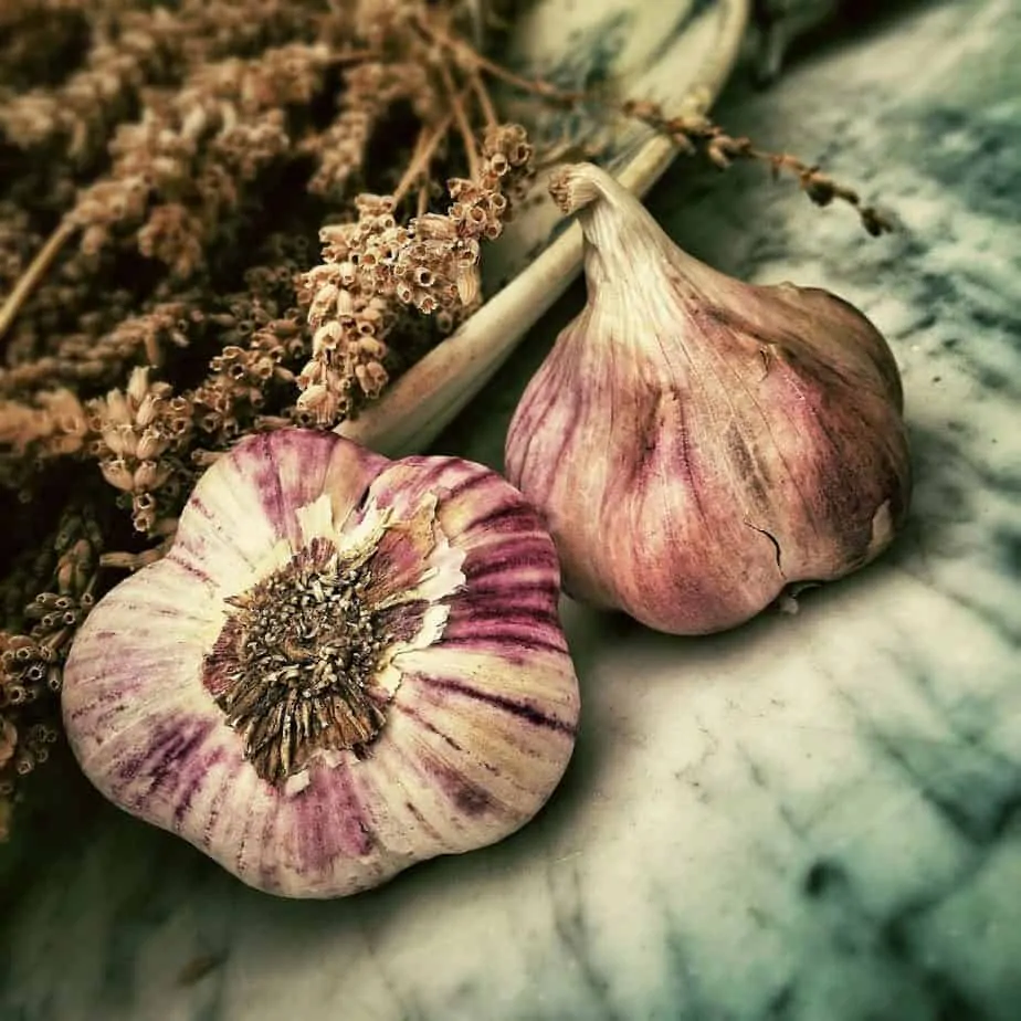garlic 139659 1280
