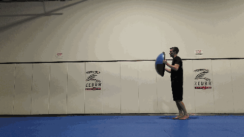 lunging twists