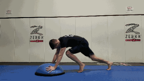 mountain climbers