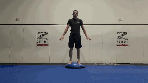 squats and free weights