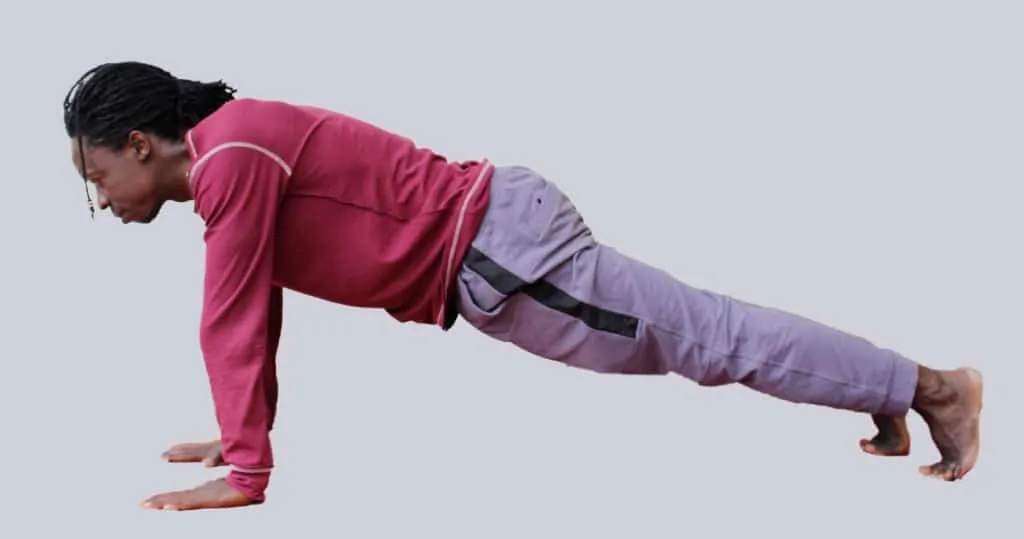 5. Plank Pose