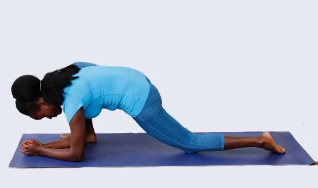 1.Lizard Pose