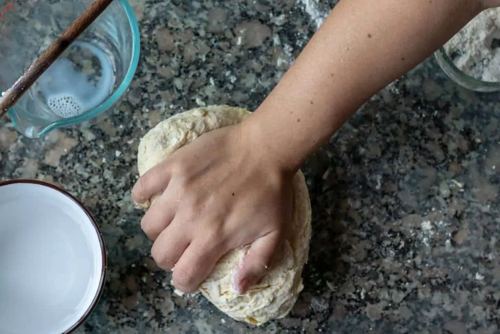 Salmon Tacos With Red Cabbage and Green Apple Slaw step 2 Kneed Dough