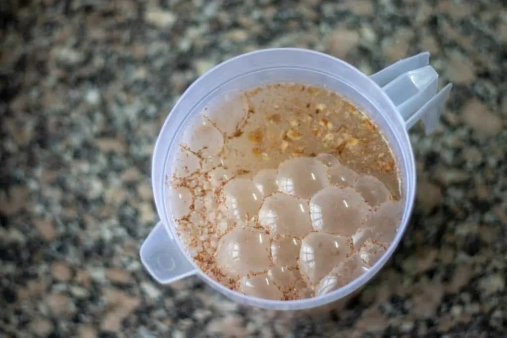 Horchata with Mint and Cocoa Step 2 soak rice and walnuts