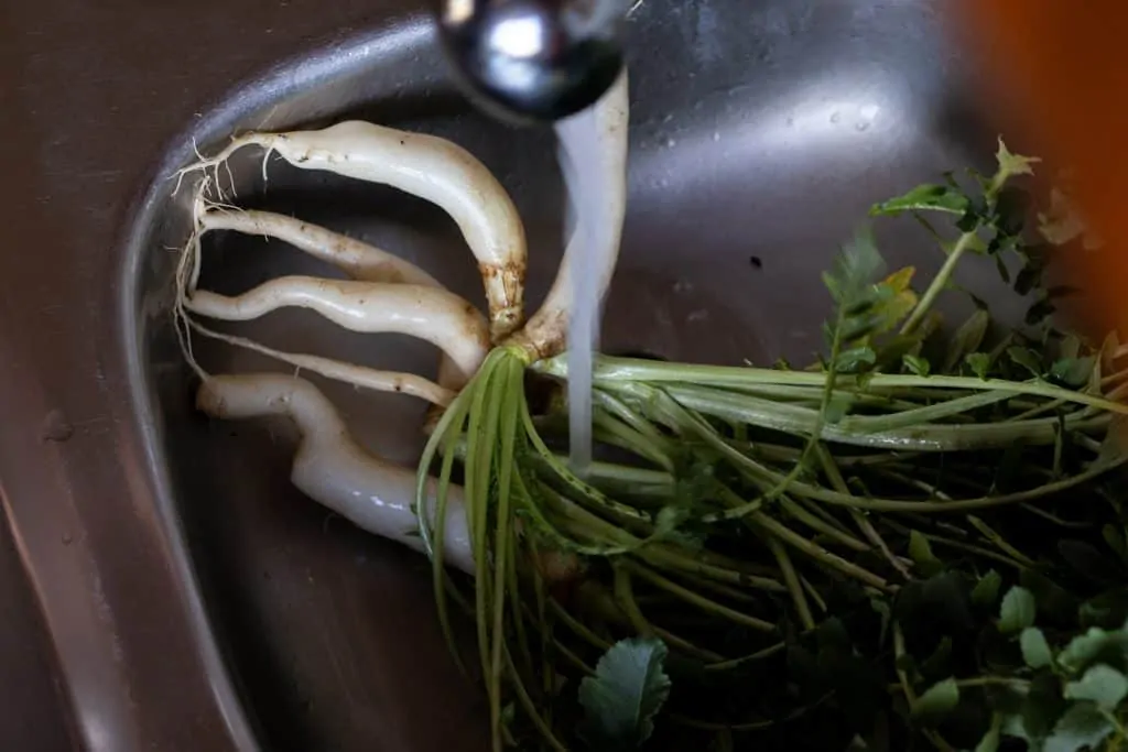 Daikon Radish Greens Kimchi Step 1 Prepare the radish greens