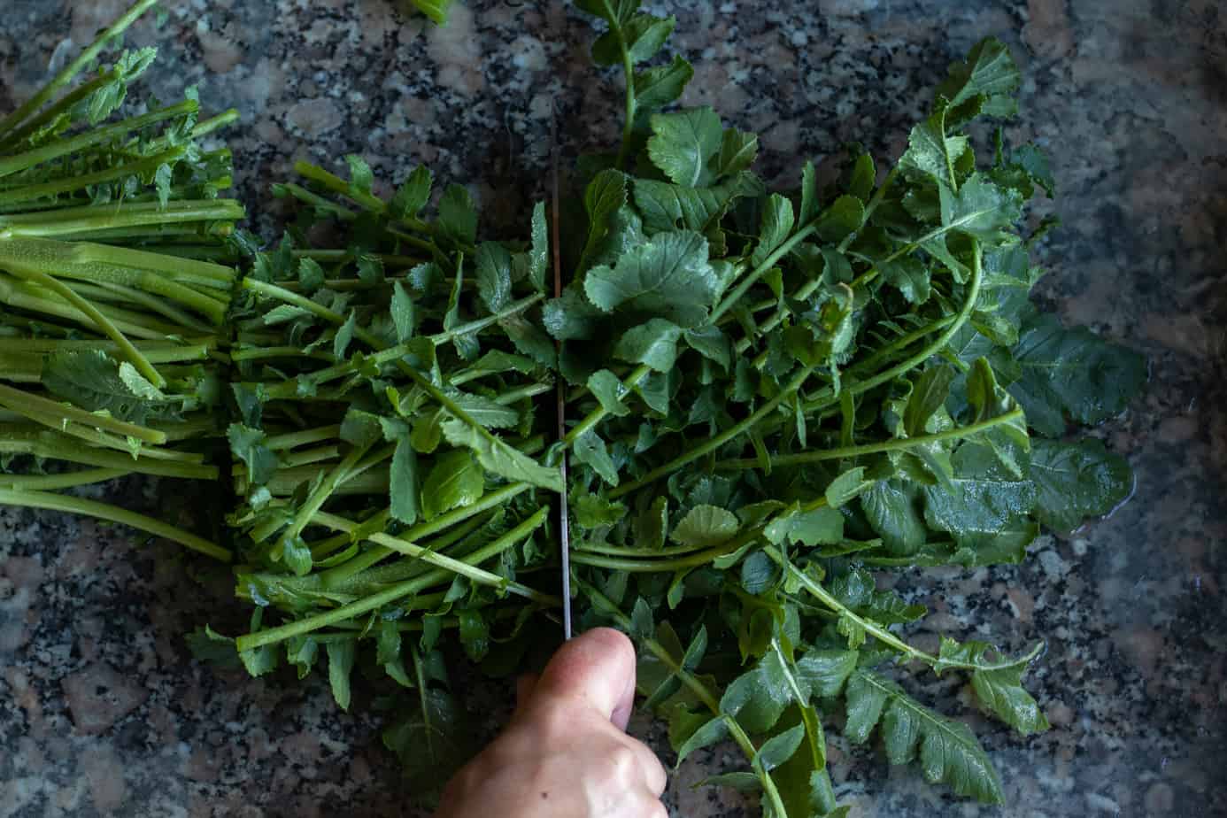 Daikon Radish Greens Kimchi Jen Reviews