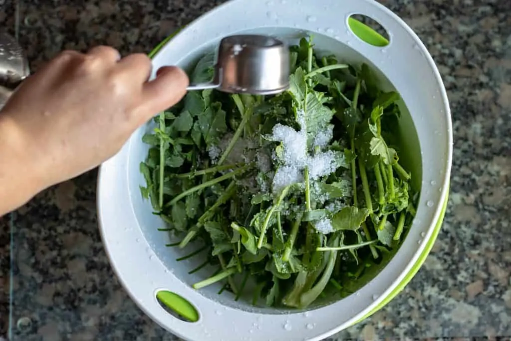Daikon Radish Greens Kimchi Step 2 Salt the greens