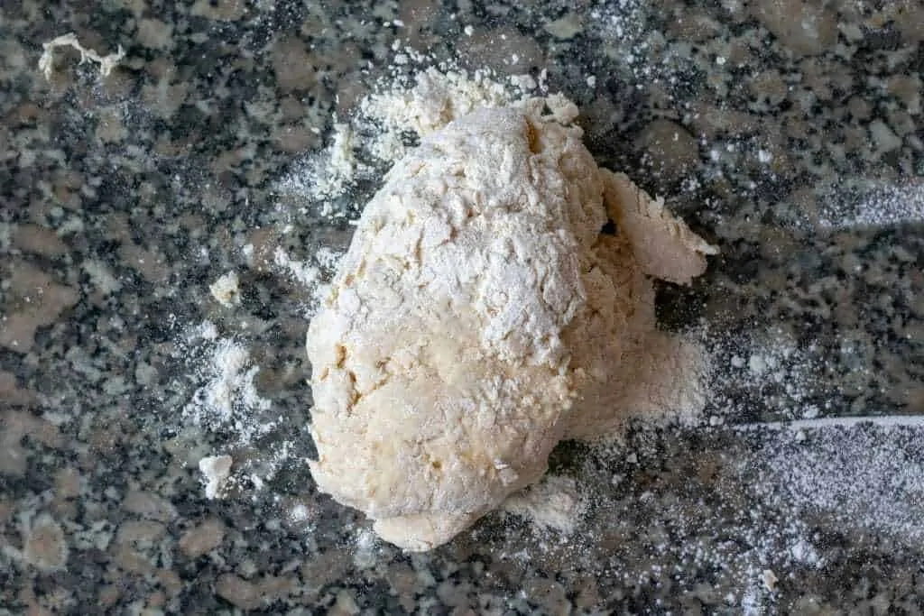 Blueberry and Nectarine Dessert Pierogi Step 4 knead the dough
