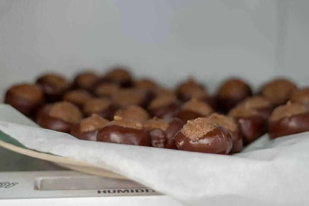 Dark Chocolate Buckeye Candies with Homemade Peanut Butter Step 8 Let buckeye candies harden